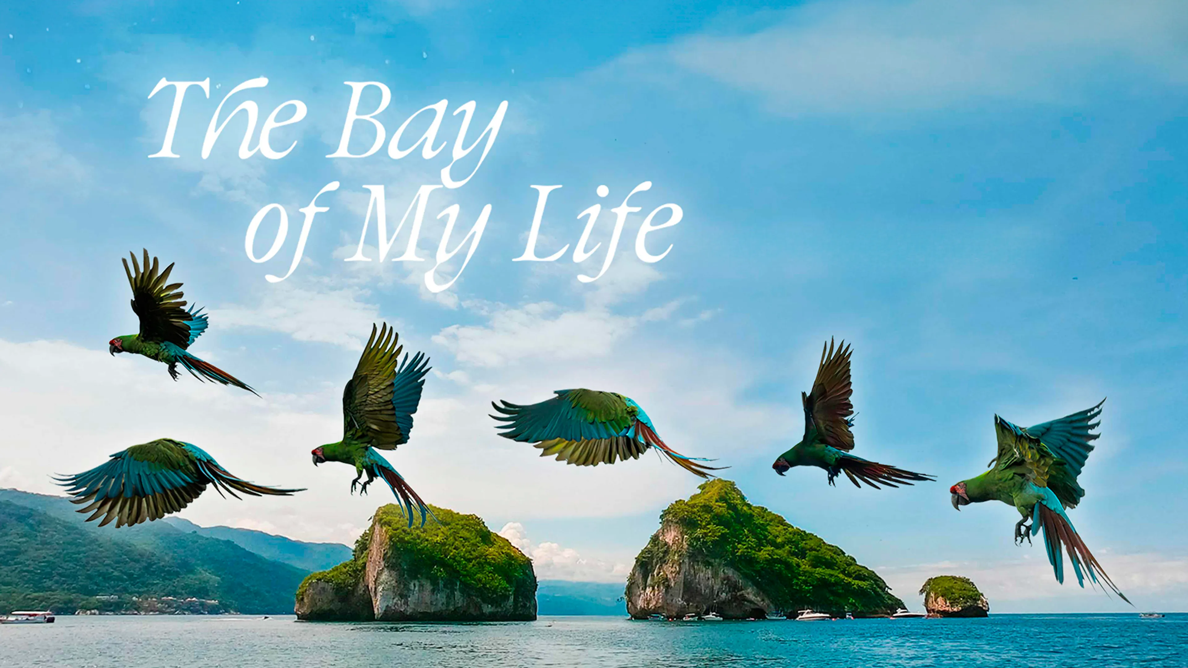 The Bay of My Life poster